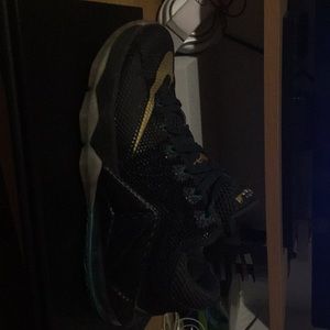 Lebron 12 Lows carbon fiber